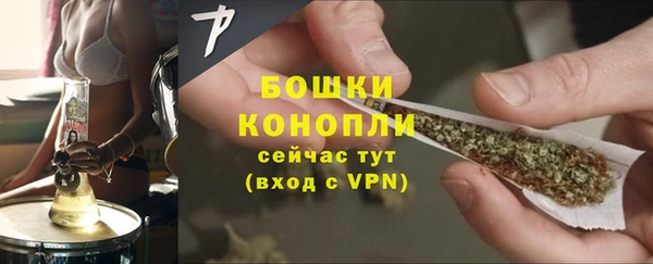 СК Богородск