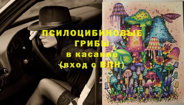 хмурый Дмитровск