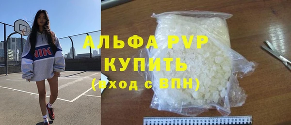 СК Богородск