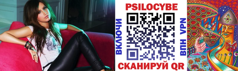 кракен зеркало  купить закладку  Светлый  Галлюциногенные грибы Psilocybine cubensis 